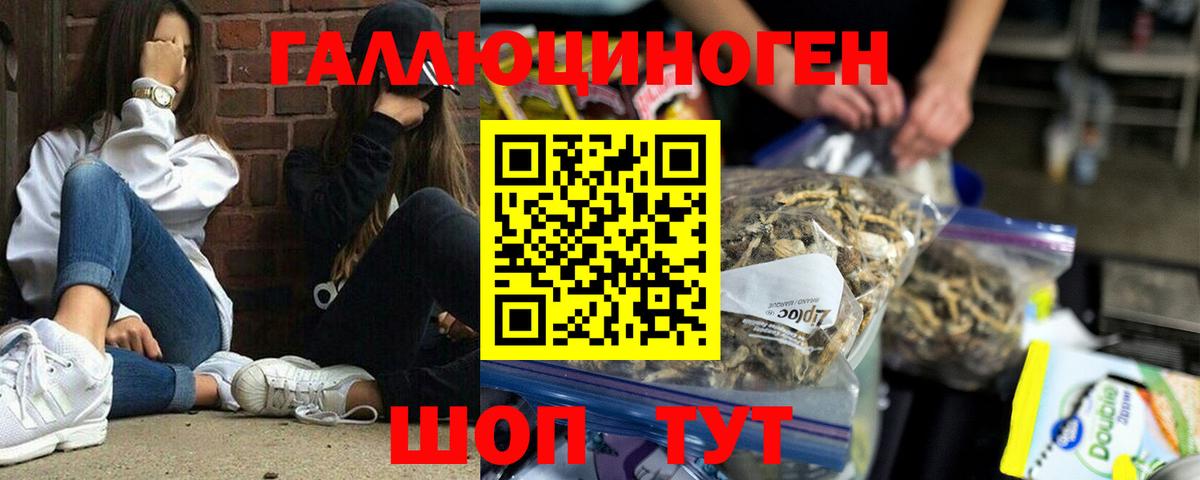 Галлюциногенные грибы мицелий  Галлюциногенные грибы Psilocybine cubensis  Сергиев Посад  Вход с VPN 
